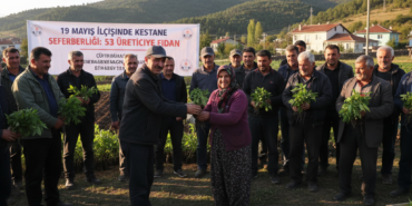 19 Mayis Ilcesinde Kestane Seferberligi 53 Ureticiye Fidan gemini