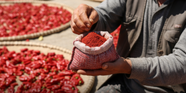 Carsambanin Tescilli Biber Tuzu Dunyaya Aciliyor gemini