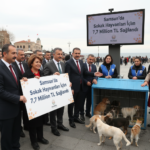 Samsunda Sokak Hayvanlari Icin 77 Milyon TL Odenek Saglandi gemini