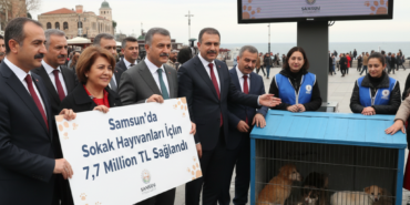 Samsunda Sokak Hayvanlari Icin 77 Milyon TL Odenek Saglandi gemini