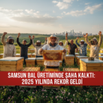 Samsun Bal Uretiminde Saha Kalkti 2025 Yilinda Rekor Geldi gemini