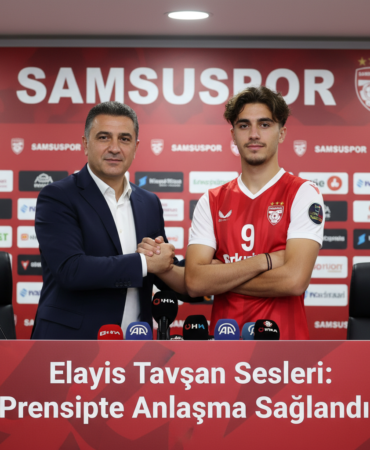 Samsunsporda Elayis Tavsan Sesleri Prensipte Anlasma Saglandi gemini