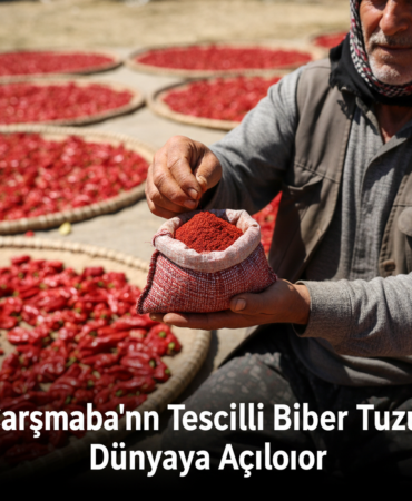 Carsambanin Tescilli Biber Tuzu Dunyaya Aciliyor gemini