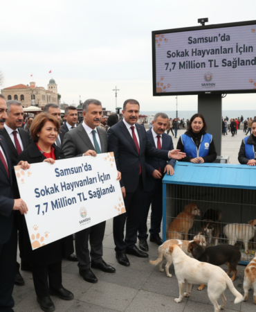Samsunda Sokak Hayvanlari Icin 77 Milyon TL Odenek Saglandi gemini