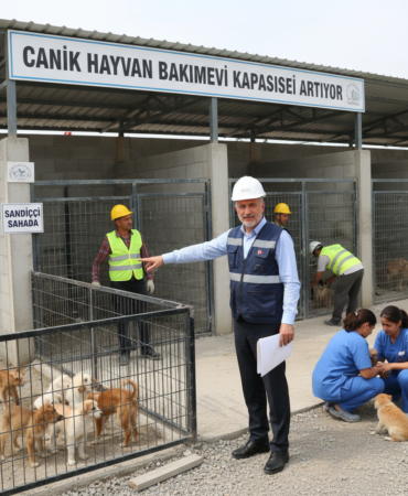 Canikte Hayvan Bakimevi Kapasitesi Artiyor Sandikci Sahada gemini