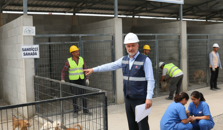 Canikte Hayvan Bakimevi Kapasitesi Artiyor Sandikci Sahada gemini